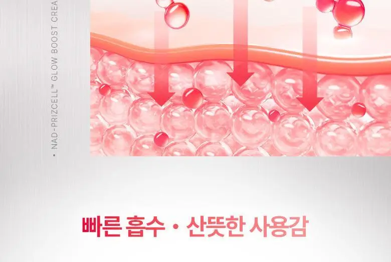 [NAD광채크림]바이오힐보 NAD 프리즈셀 글로우 부스트 크림 50ml [단품] 상세페이지 25